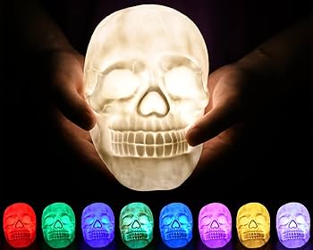 DS. DISTINCTIVE STYLE Night Light Dimmable Lamp 3D Skull